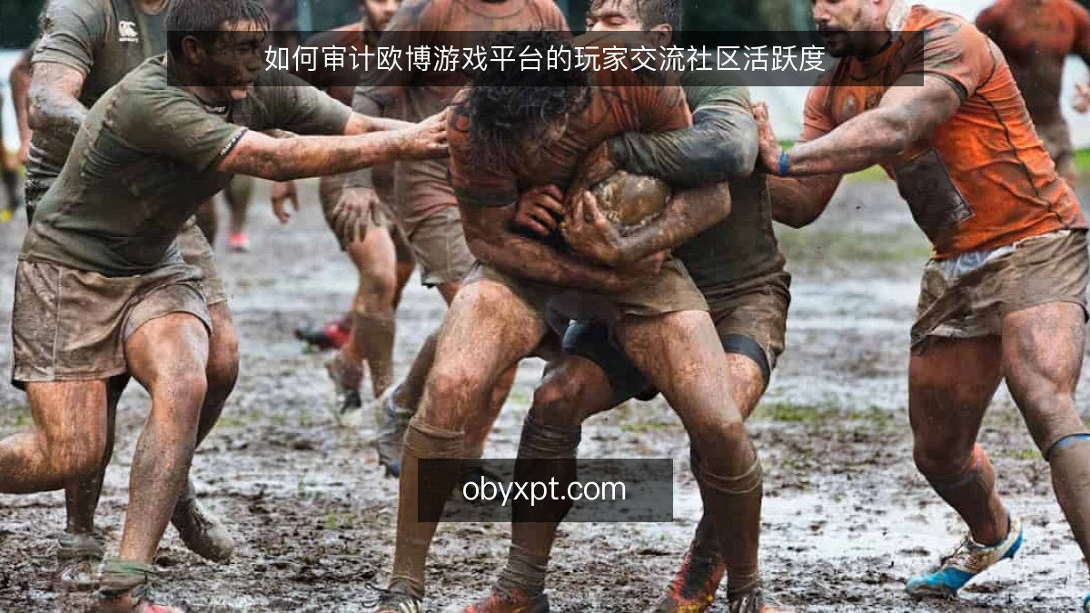 如何审计欧博游戏平台的玩家交流社区活跃度