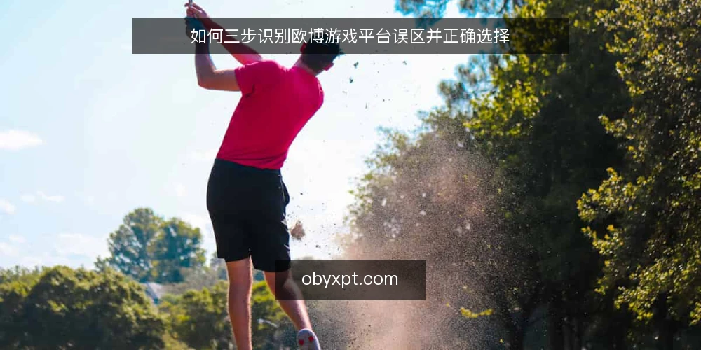 如何三步识别欧博游戏平台误区并正确选择 — 误区一:玩家交流社区等于官方信息 配图