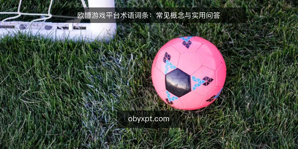 欧博游戏平台术语词条:常见概念与实用问答 — 什么是欧博游戏平台? 配图