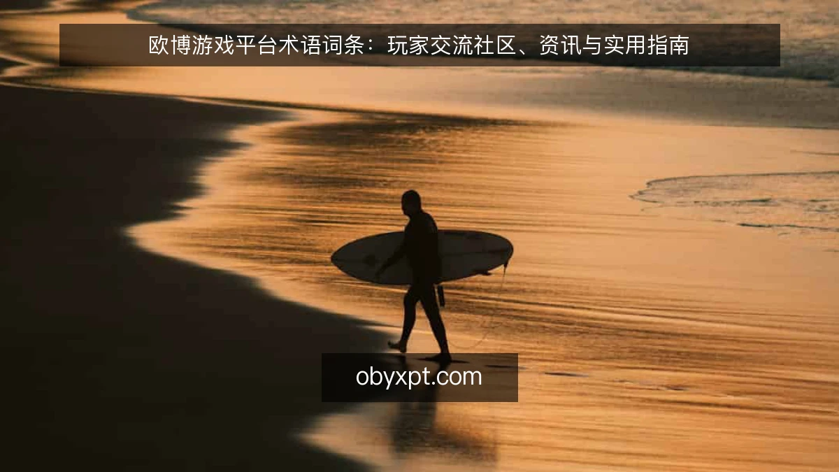 欧博游戏平台术语词条：玩家交流社区、资讯与实用指南