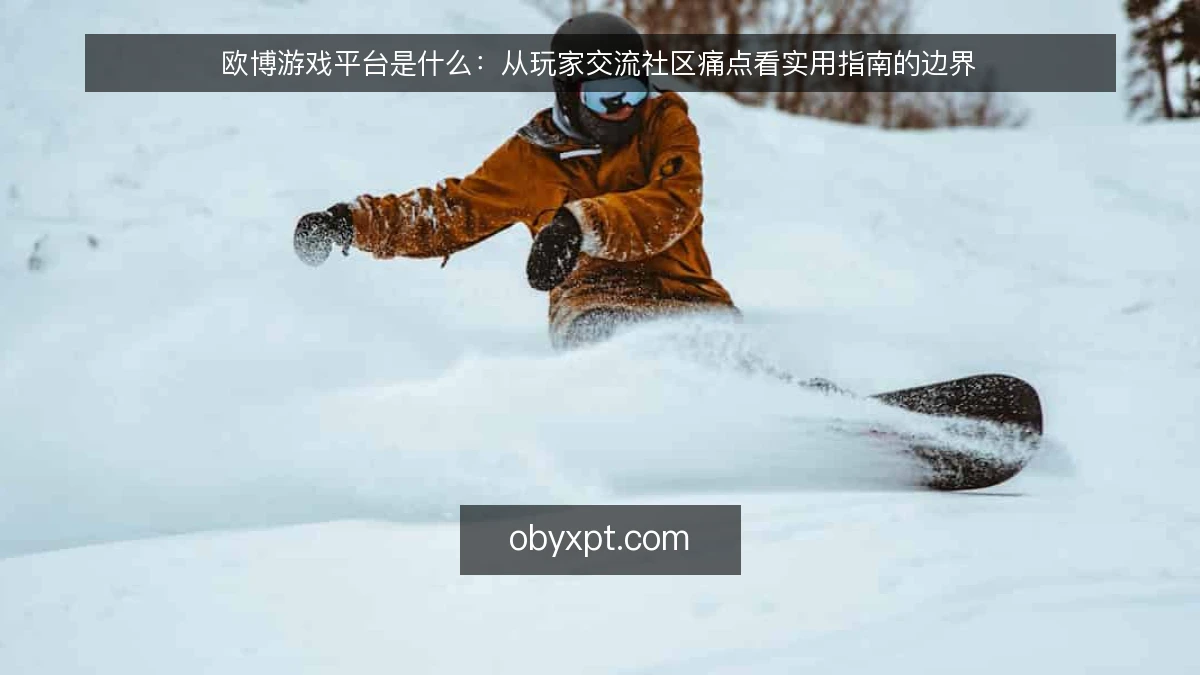 欧博游戏平台是什么:从玩家交流社区痛点看实用指南的边界