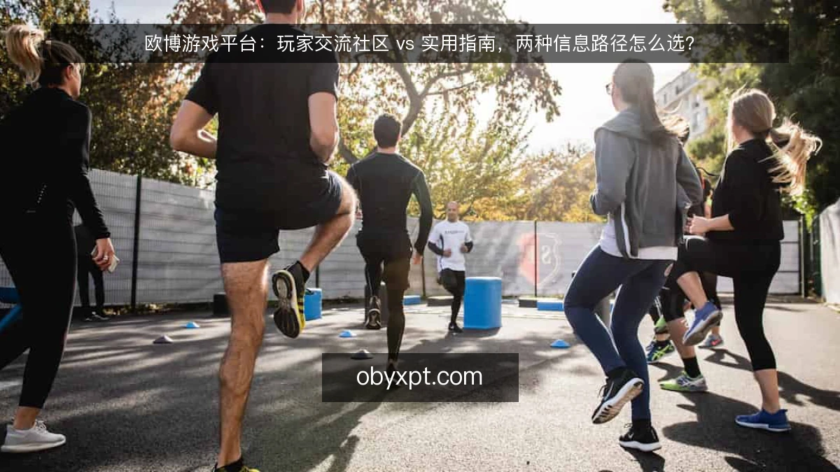 欧博游戏平台：玩家交流社区 vs 实用指南，两种信息路径怎么选？